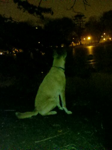 wp-1389849752520.jpg image