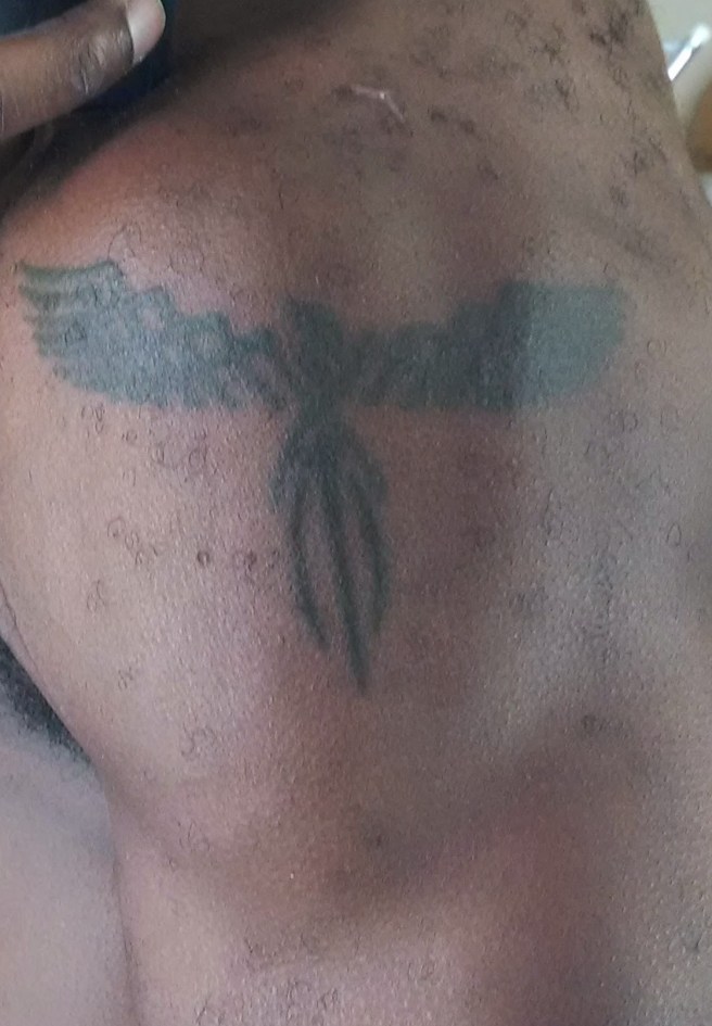 tattoo for WordPress